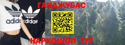 крисы Новоалтайск