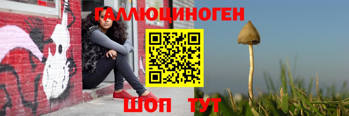 Белгород  Галлюциногенные грибы Magic Shrooms  Вход с VPN 